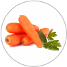 Carrot extract
