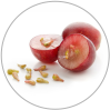 Grape seed extract: 